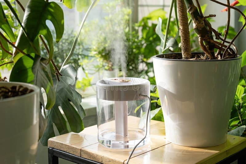 Humidificateur D'air Moderne Et Plante D'intérieur Sur Table Dans L'espace  Salon Pour Texte Banque D'Images et Photos Libres De Droits. Image 198065506