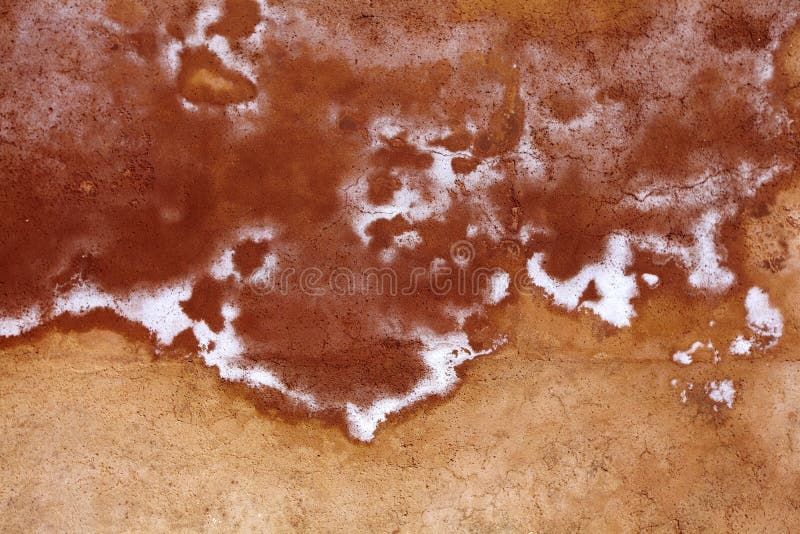 Humidity Mold On The Walls Of The Building Stock Photo Image 18224746