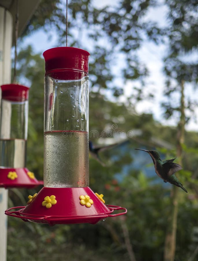 humming bird feeder