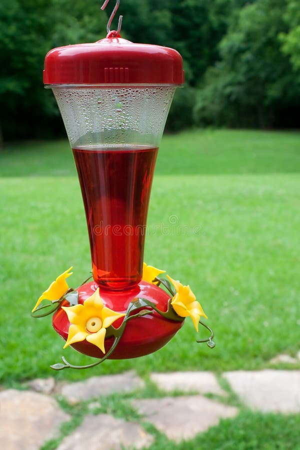 Hummingbird feeder