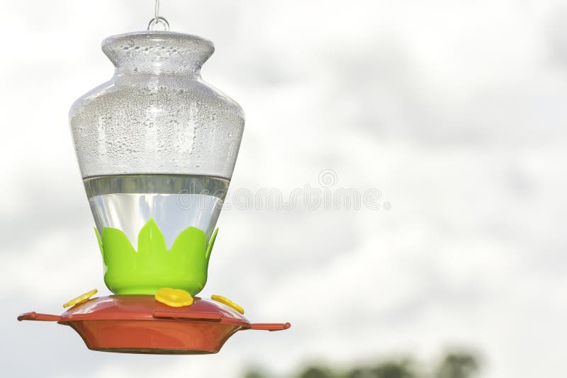 Hummingbird Feeder