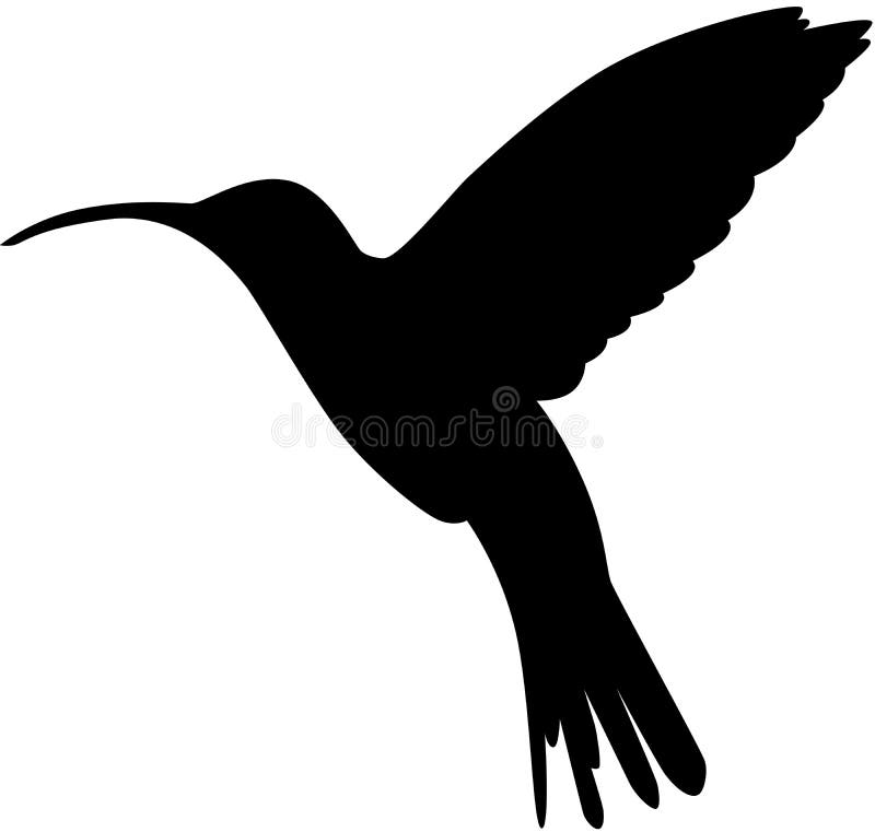 Hummingbird silhouette stock vector. Illustration of feathers - 10101912