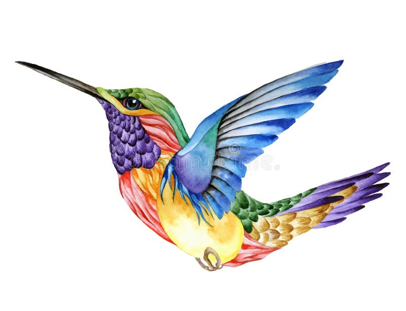 Download Hummingbird Tattoo, Watercolor Painting Stock Vector ...