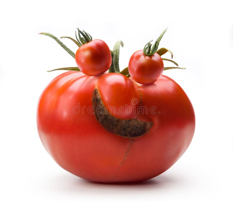 Tomates como simbolo de coragem ...porque não os aipos ? Humor-alegre-do-sr-tomate-da-arte-20755885