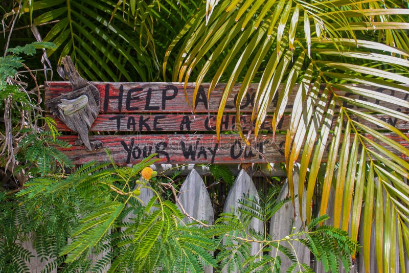 Humorous rustic wooden sign by picket fence in Key West surrounded by tropcal plants says Help a local sleep- Take a chicken with royalty free stock photos Humorous rustic wooden sign by picket fence in Key West surrounded by tropcal plants says Help a local sleep- Take a chicken with royalty free stock photos