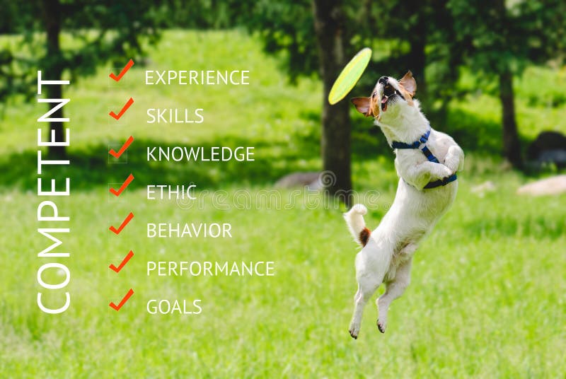Humorystyczna koncepcja biznesowa o kompetencjach z łapaniem psów na latającym dysku w zwinny skok