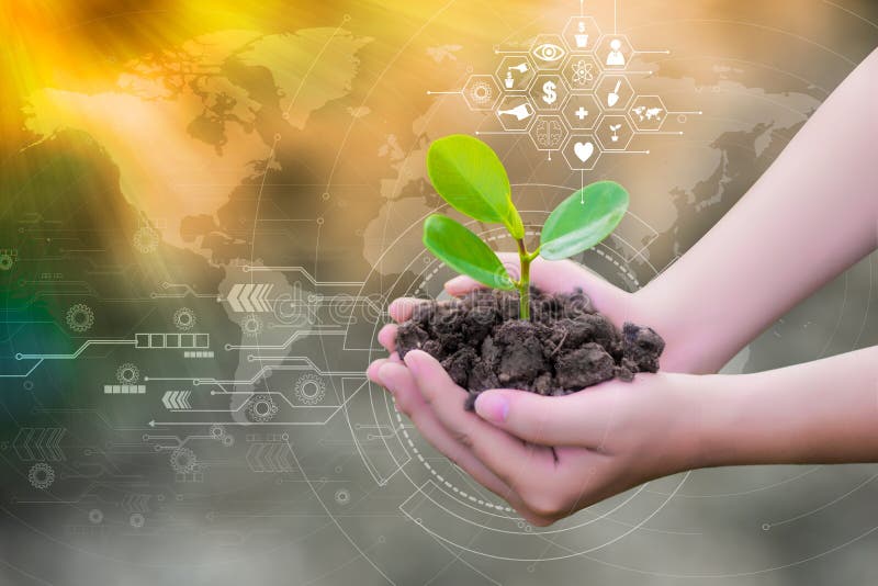 Humus has a natural graphic, agricultural technology, seedlings are green, brown soil. royalty free stock photography
