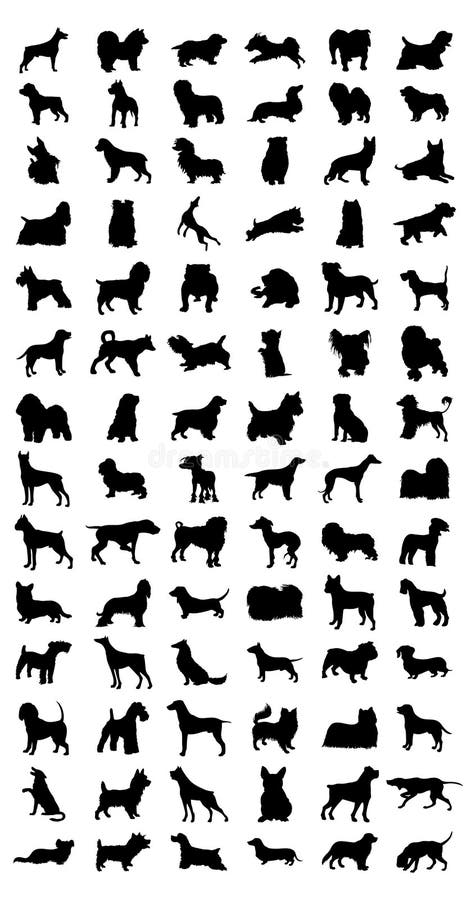 Black silhouettes of different breeds of dog. A illustration. Black silhouettes of different breeds of dog. A illustration