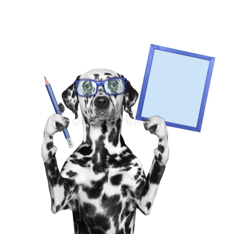 Netter Hund, Der An Dem Computer Arbeitet Stockfoto Bild von geschäft