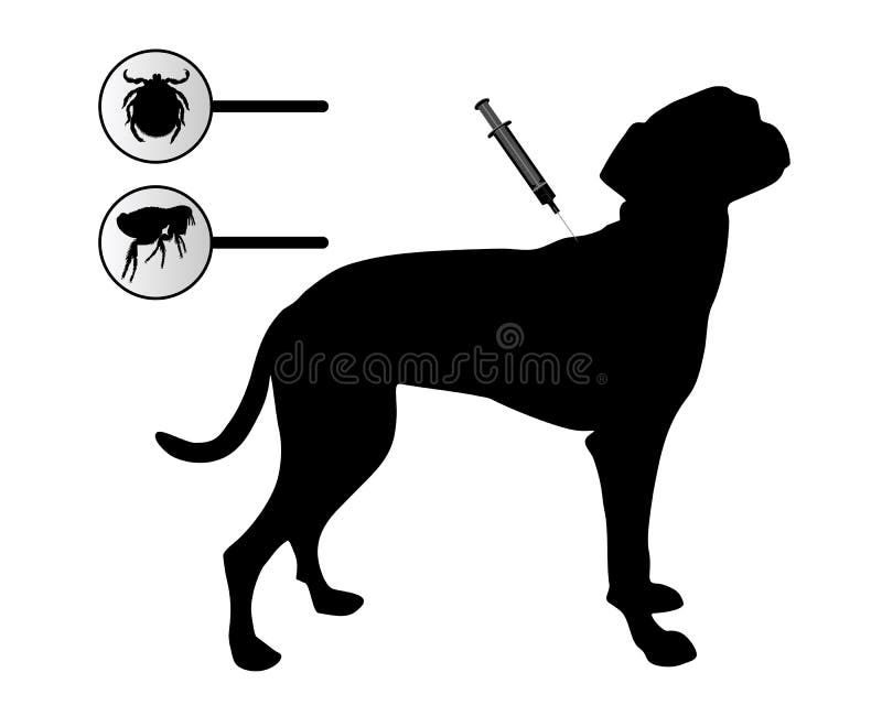 Hund erhält eine Impfung gegen Flöhe und Häckchen vektor abbildung Hund erhält eine Impfung gegen Flöhe und Häckchen vektor abbildung