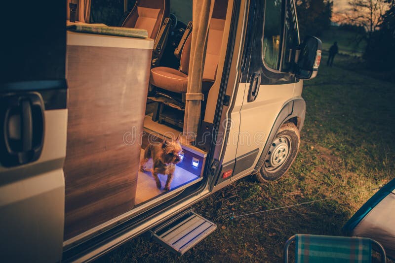 Camper und Hund stockfoto. Bild von europäisch, kampieren 29602378