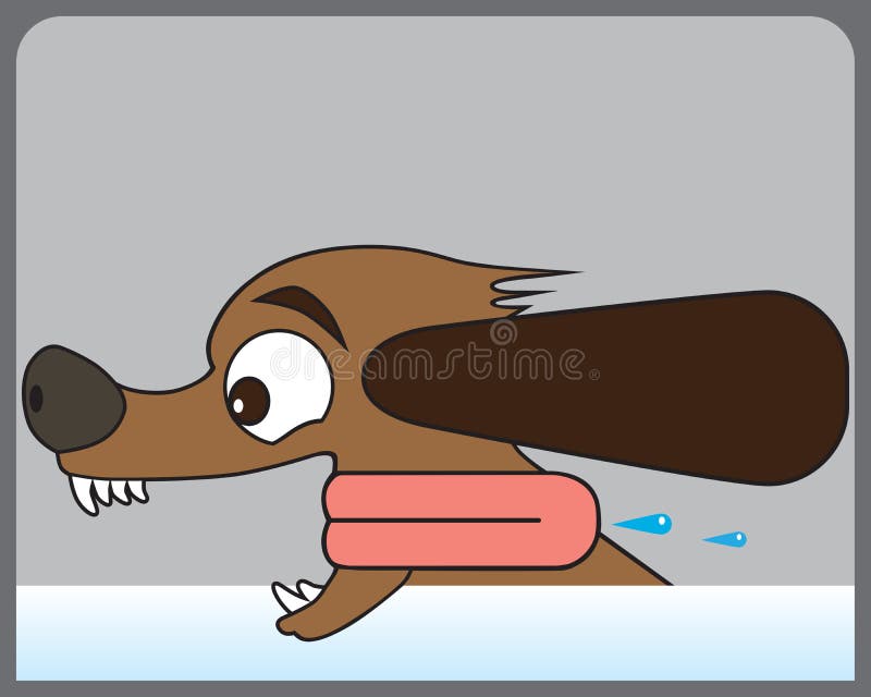 Hund im Wind vektor abbildung. Illustration von abbildung 64628152