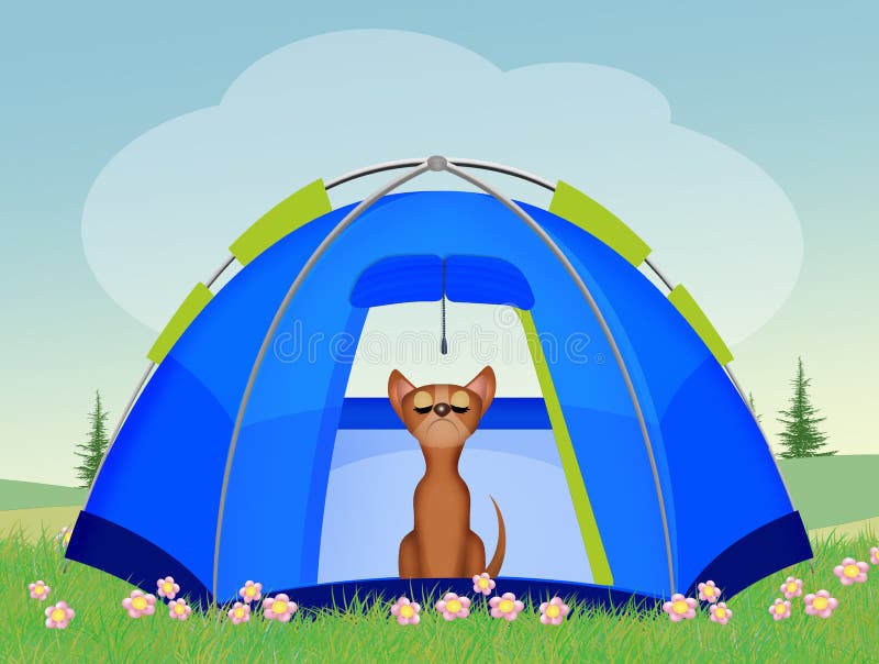 Hund im Zelt stock abbildung. Illustration von zelt 141760770