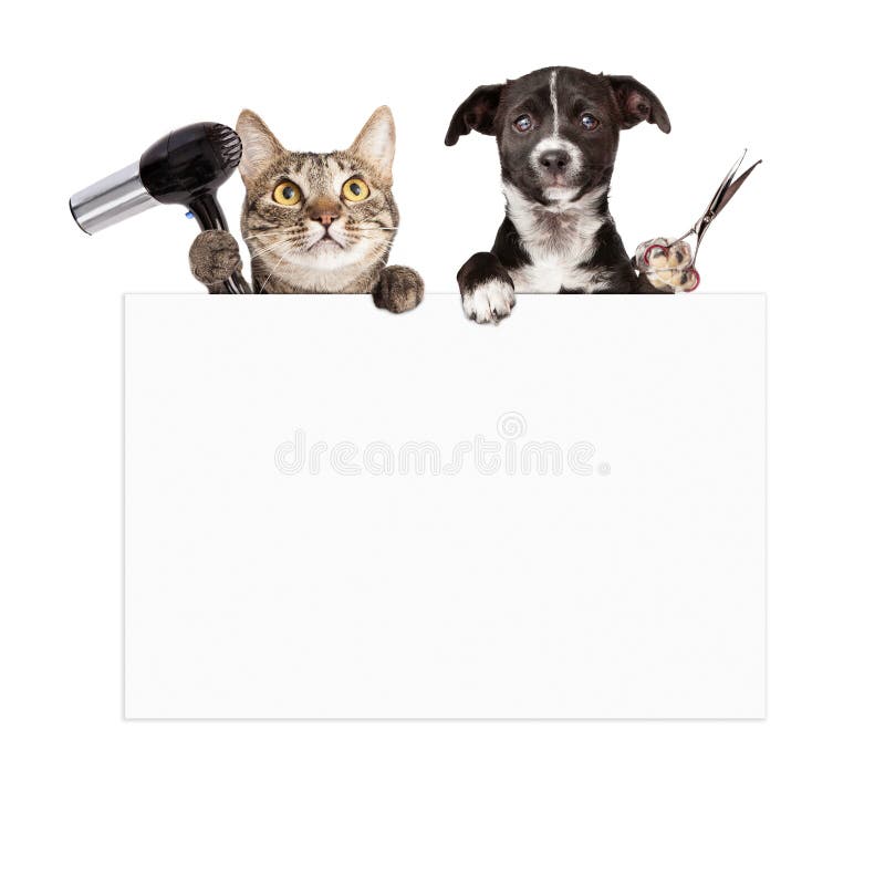 Hund och Cat Grooming Blank Sign royaltyfria foton