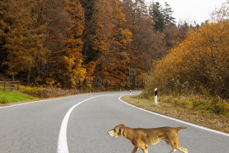 Hund på vägillustrationen arkivbild Hund på vägillustrationen arkivbild