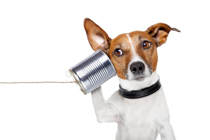 Hund am Telefon