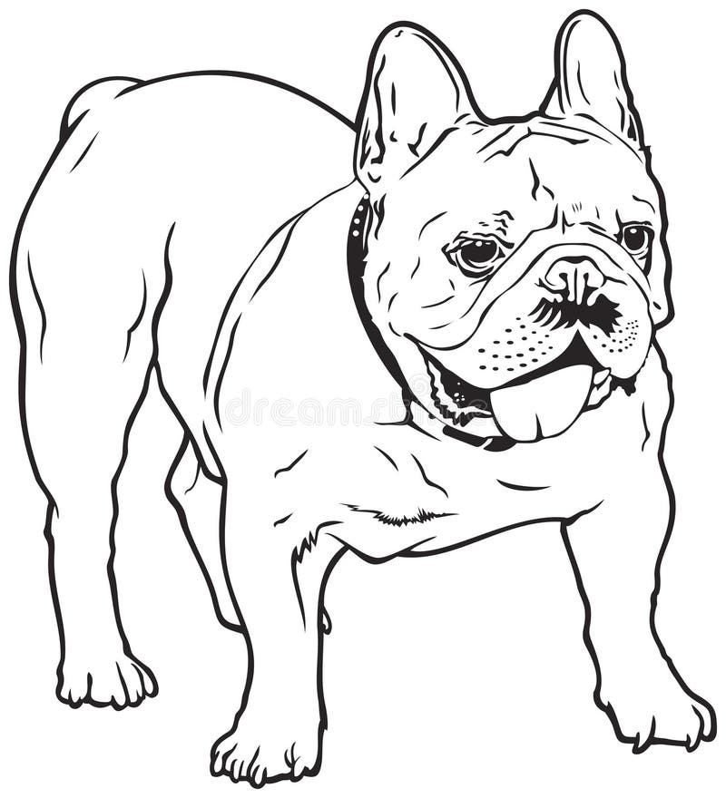 Hundavel för fransk bulldogg royaltyfri illustrationer Hundavel för fransk bulldogg royaltyfri illustrationer