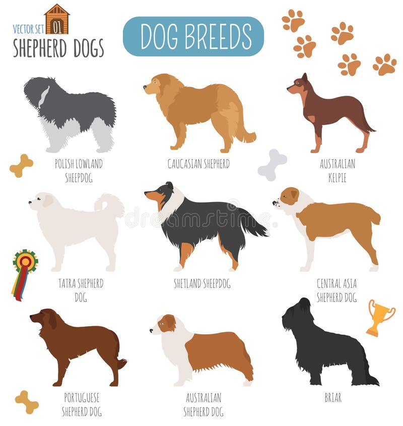 Hundavel Symbol för uppsättning för herdehund Plan stil royaltyfri illustrationer Hundavel Symbol för uppsättning för herdehund Plan stil royaltyfri illustrationer
