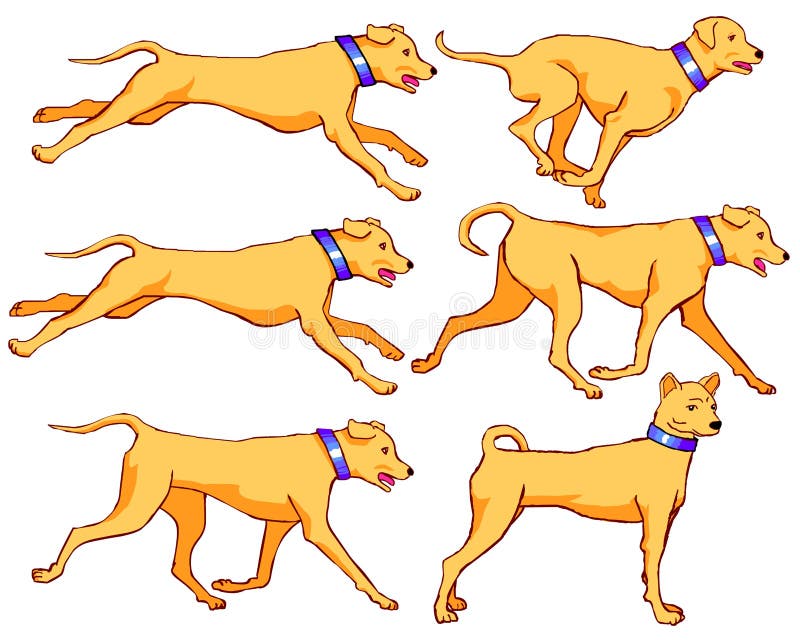 Hundebetriebs- und -c$gehenanimationssatz vektor abbildung Hundebetriebs- und -c$gehenanimationssatz vektor abbildung