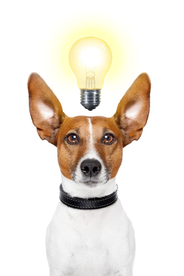 Hundeidee Hundeidee