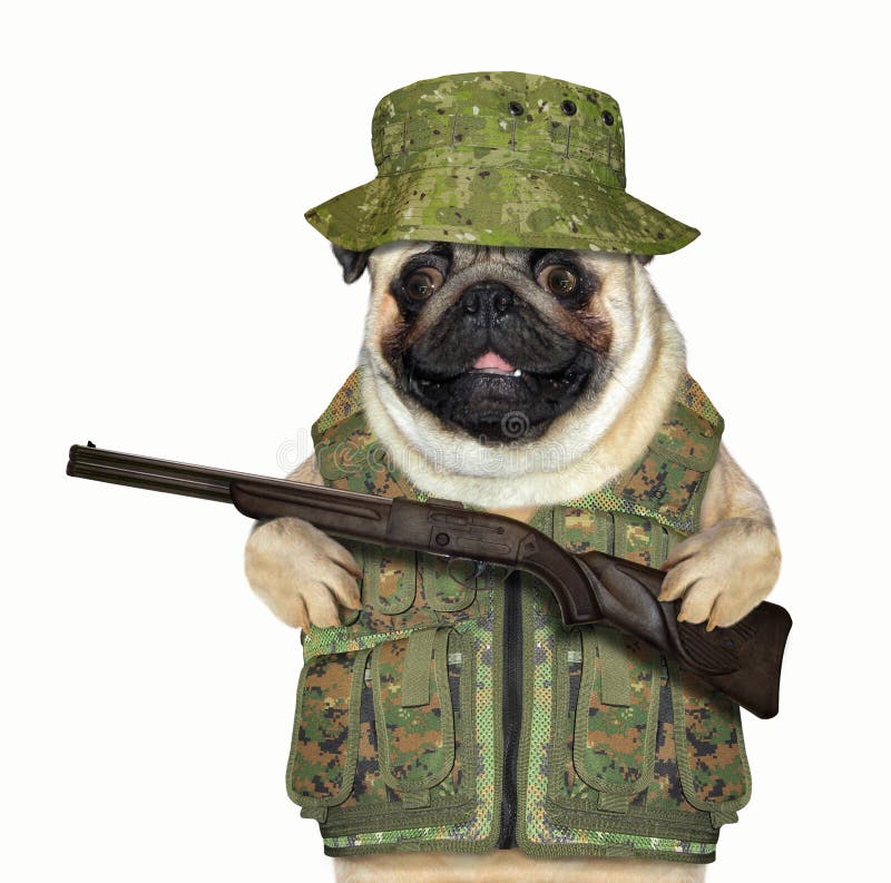 Hundejäger mit einem Gewehr lizenzfreie stockfotos Hundejäger mit einem Gewehr lizenzfreie stockfotos