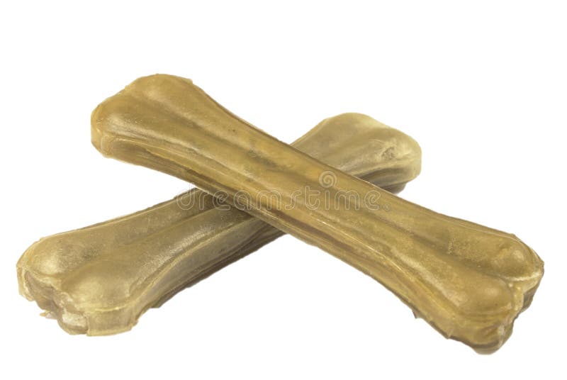 Hundeknochen stockfoto. Bild von tier, anreiz, spiel 66269254