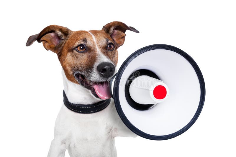 Hundemegaphon lizenzfreies stockbild Hundemegaphon lizenzfreies stockbild