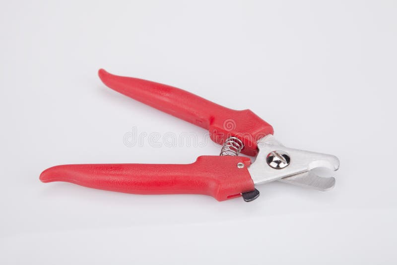 Hundenagelscherer stockfoto Hundenagelscherer stockfoto