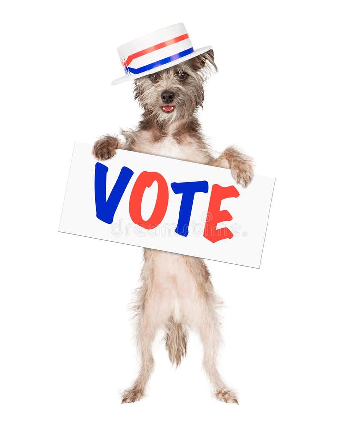 Hundepolitiker Vote Sign lizenzfreie stockfotografie Hundepolitiker Vote Sign lizenzfreie stockfotografie