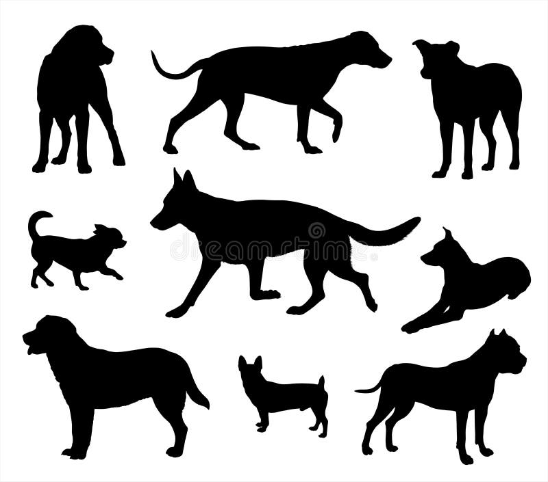 Hundeschattenbild, Hunde in den verschiedenen Haltungen vektor abbildung Hundeschattenbild, Hunde in den verschiedenen Haltungen vektor abbildung