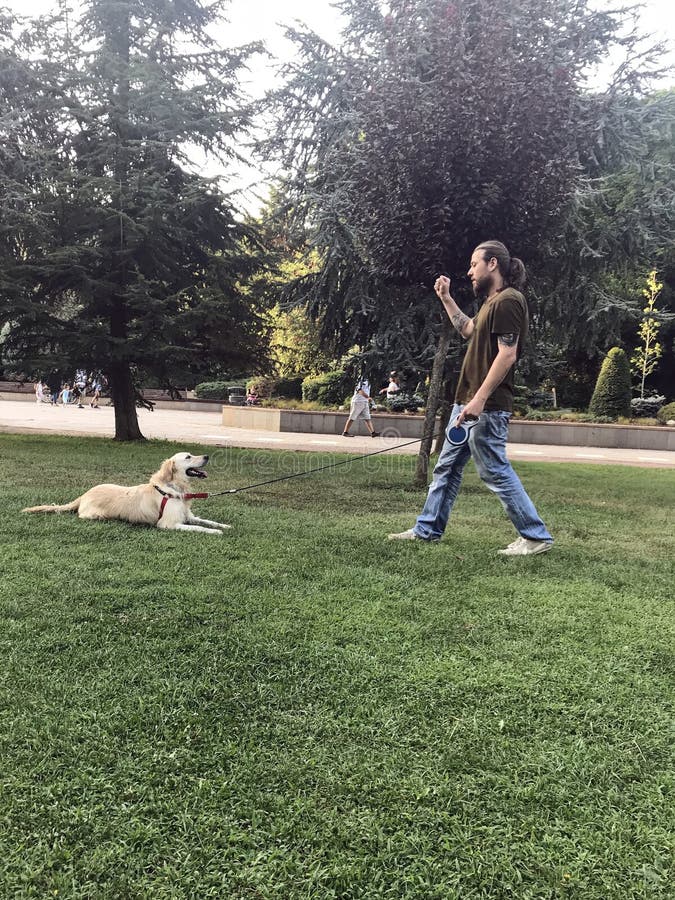 Hundetraining, WartezeitBefehl, Gehorsam Stockfoto Bild von mann