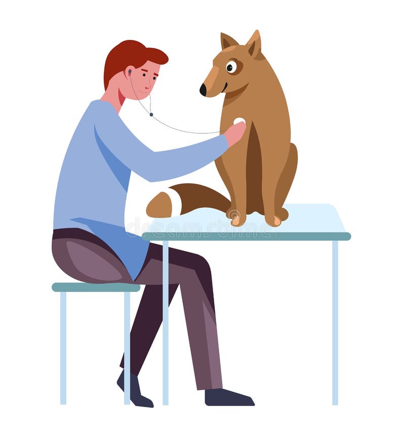 Dog breeding and care for animals by doctor vector. Veterinary man listening to pets heart rate and breathing. Canine sitting on table in front of specialist male with stethoscope examining breed. Dog breeding and care for animals by doctor vector. Veterinary man listening to pets heart rate and breathing. Canine sitting on table in front of specialist male with stethoscope examining breed