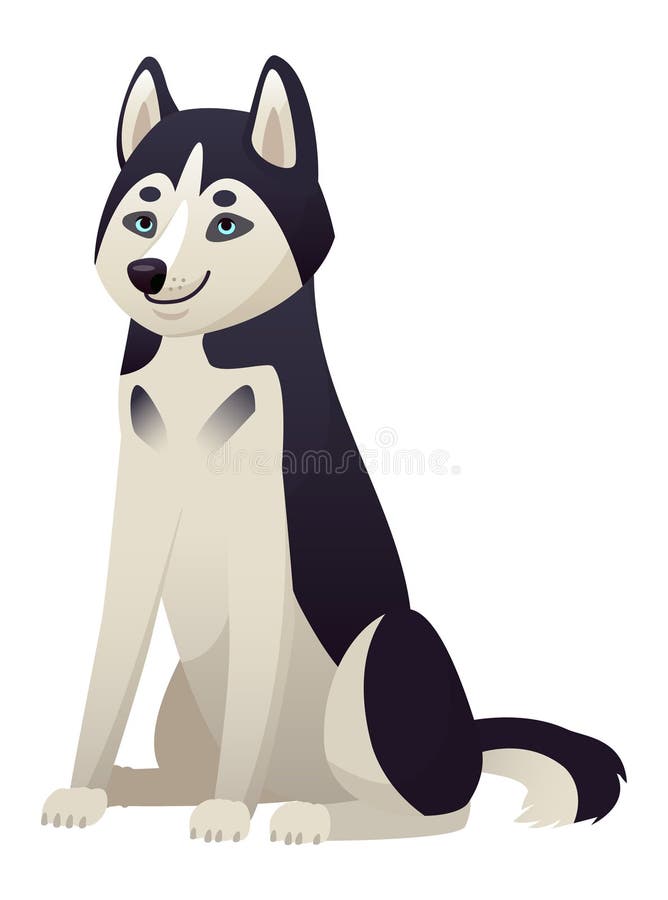 Hundhund med påfallande blå ögon och en vacker svart och vit päls som sitter uppmärksamt och ser framåt mot vektor illustrationer