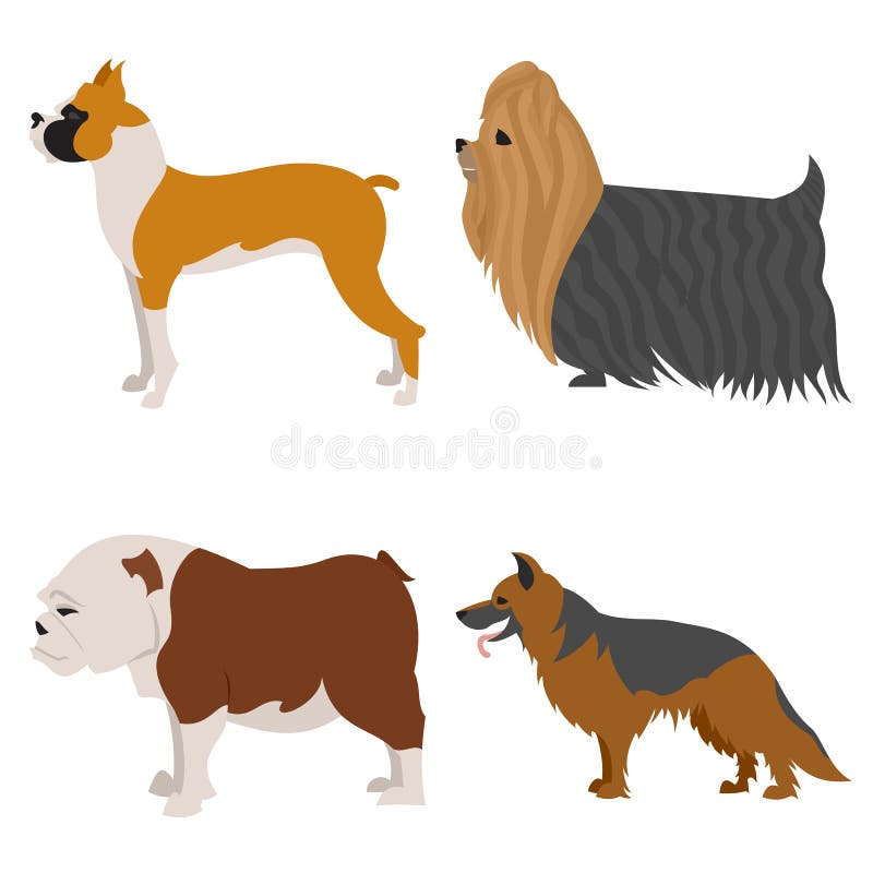 Dogs flat set, boxer and german shepherd, doggy and hound, vector illustration. Dogs flat set, boxer and german shepherd, doggy and hound, vector illustration