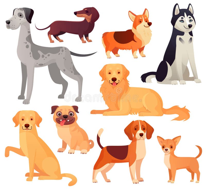 Hundkapplöpninghusdjurtecken Labrador, golden retriever och skrovligt Isolerad illustrationuppsättning för tecknad film vektor vektor illustrationer