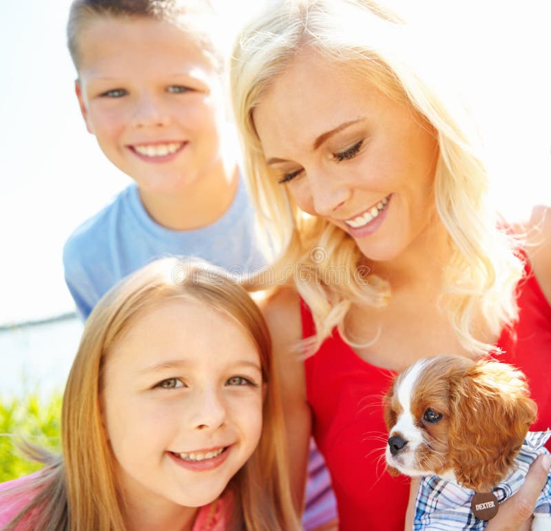 Hundkärlek och tillit till familjen i parken för att utbilda husdjur och för att binda djuren. lycka, lojalitet och leende med royaltyfria foton