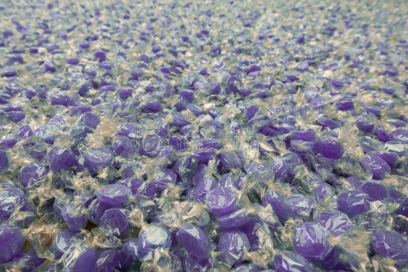 Purple Mint Flower in Detail Stock Photo Image of purple, details