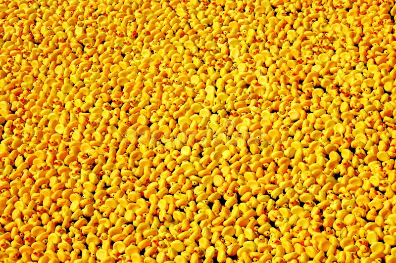 lot of rubber ducks