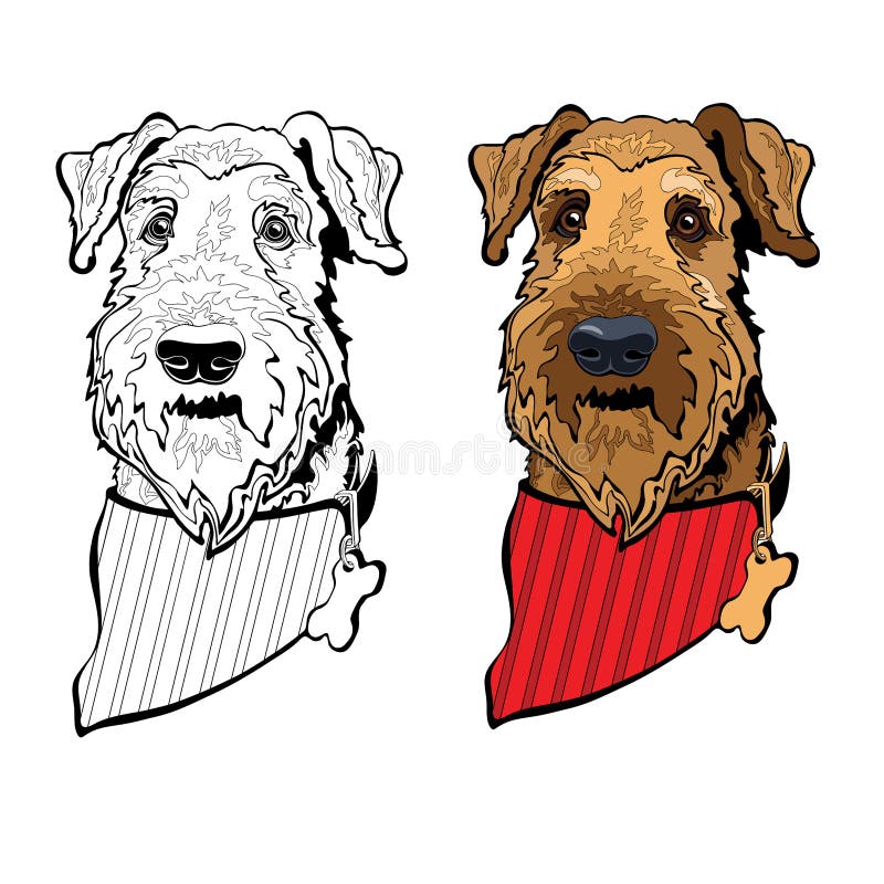 Hunduppfödning av airedale-skräckare med bandana. färglös och linjär. vektor. stock illustrationer