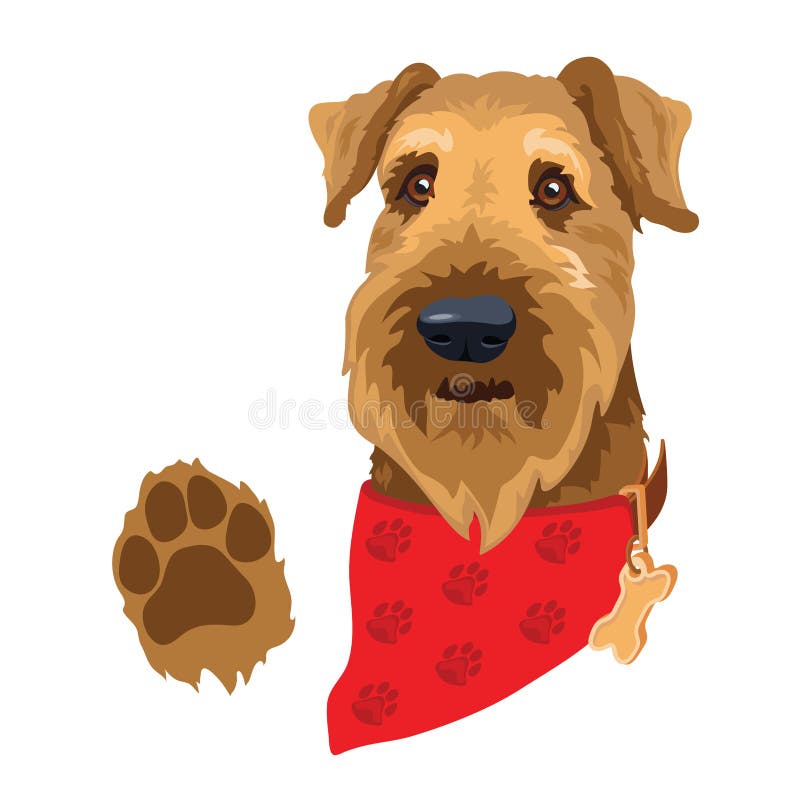 Hunduppfödning av airedale skräcker. hundhuvud med röd bandana. vektor. vektor illustrationer