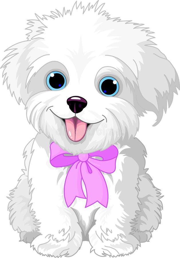 Cute white lap-dog puppy posing with pink ribbon. Cute white lap-dog puppy posing with pink ribbon