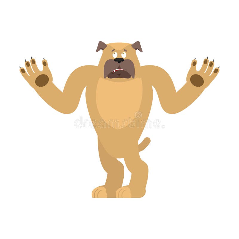 Hundverwirrtes emoji oops Verblüffte Gefühle des Haustieres Bulldogge surpris vektor abbildung Hundverwirrtes emoji oops Verblüffte Gefühle des Haustieres Bulldogge surpris vektor abbildung