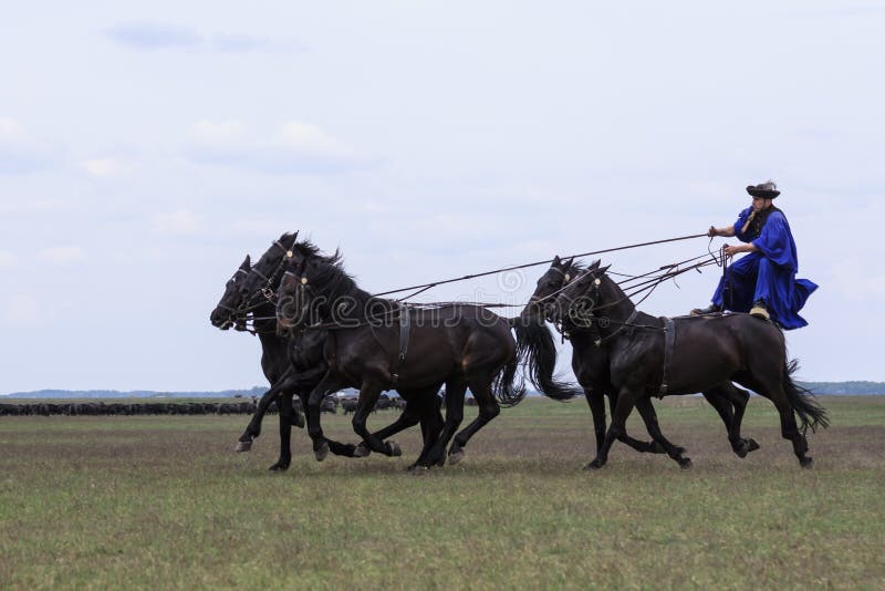 Hungarian Cowboys
