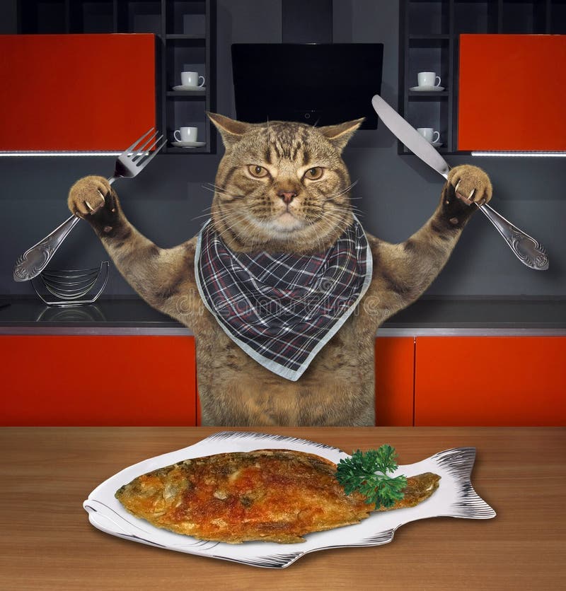 cook fish for cat