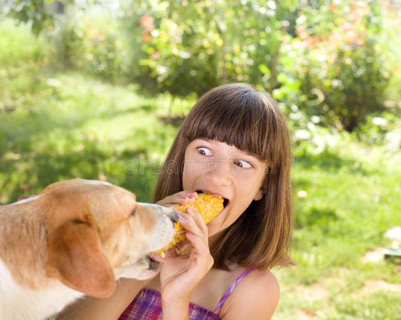 Hungry dog stock photo. Image of female, lunch, food