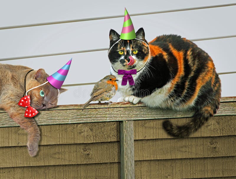 De hambriento jardín gatos Vestido en festivo fiesta sombreros a arco corbatas mira a pájaro cómo a ellos próximo comida.