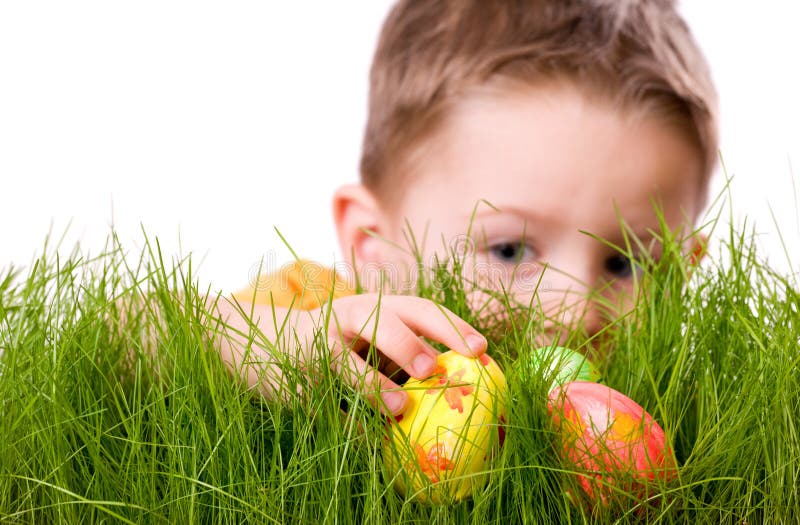 Easter egg hunt. Cute boy searching for easter eggs hidden in fresh green grass. Isolated on white background. Easter egg hunt. Cute boy searching for easter eggs hidden in fresh green grass. Isolated on white background