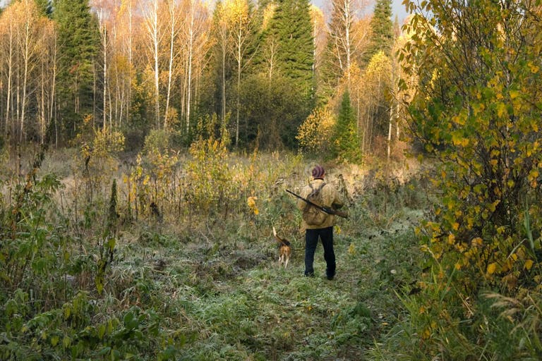 Росгвардия напоминает охотникам правила безопасного обращения с оружием - Новост
