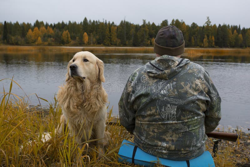 are golden retrievers hunting dogs