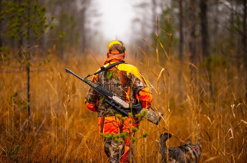Hunter and His Elkhound Outdoor - Hunting Season Stock Image - Image of ...